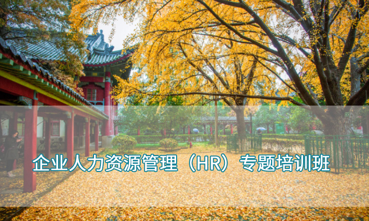 企业培训-南京师范大学企业人力资源管理（HR）专题培训班